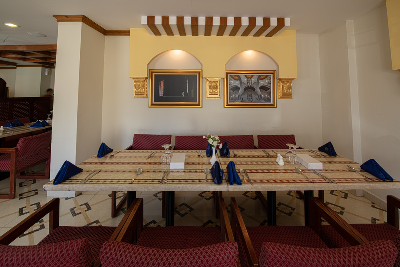 International Investment Plus Llc