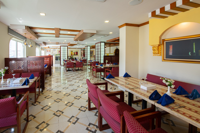 International Investment Plus Llc