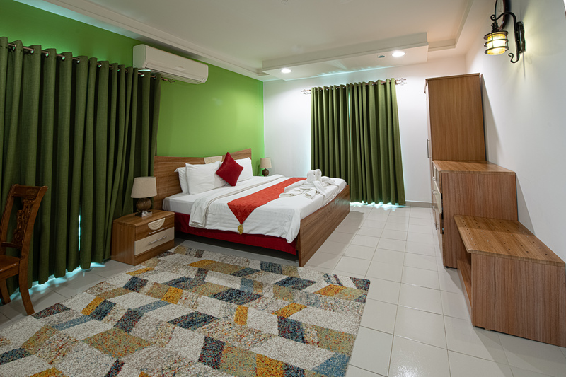 International Investment Plus Llc