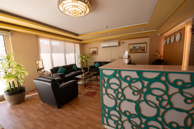 International Investment Plus Llc