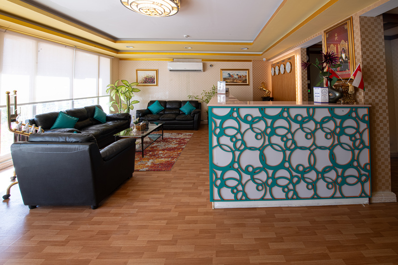 International Investment Plus Llc